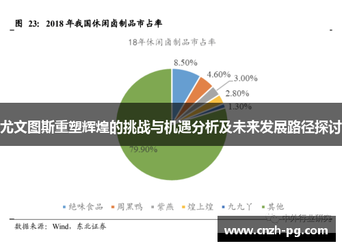 尤文图斯重塑辉煌的挑战与机遇分析及未来发展路径探讨