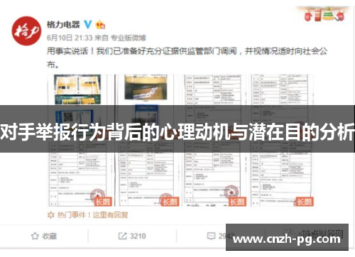 对手举报行为背后的心理动机与潜在目的分析