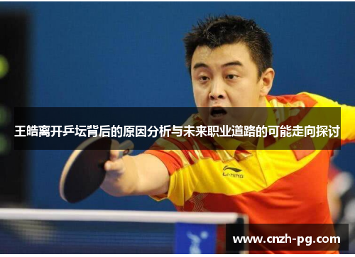 王皓离开乒坛背后的原因分析与未来职业道路的可能走向探讨