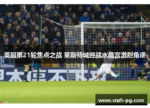 英超第21轮焦点之战 莱斯特城迎战水晶宫激烈角逐