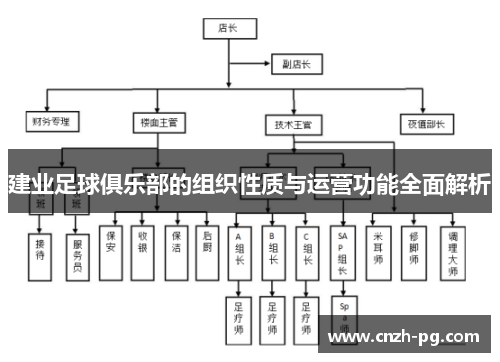 建业足球俱乐部的组织性质与运营功能全面解析