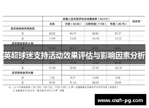 英超球迷支持活动效果评估与影响因素分析