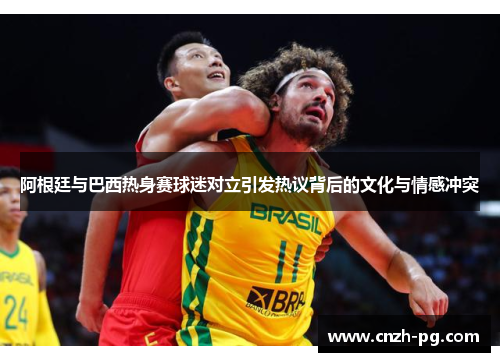 阿根廷与巴西热身赛球迷对立引发热议背后的文化与情感冲突