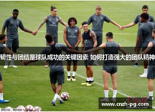 韧性与团结是球队成功的关键因素 如何打造强大的团队精神